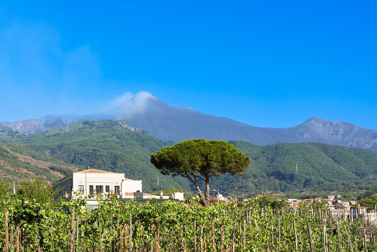 La tenuta